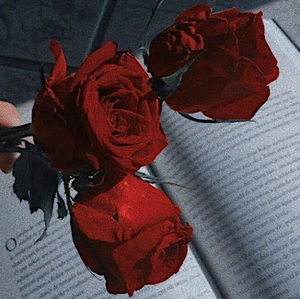 Meet your Posher, Mirel